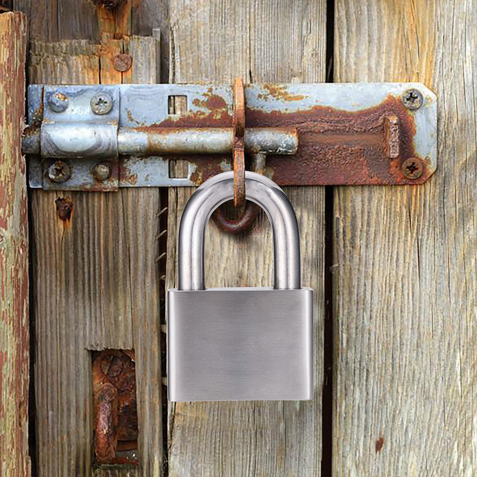 30mm 높은 안전 스테인레스 스틸 걸쇠 잠금 장치 태그아웃 Padlock-DDPL001