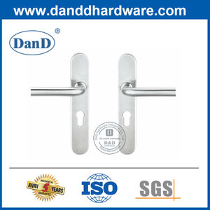 실린더 구멍이 있는 스테인레스 스틸 백플레이트 레버 핸들-DDTP003